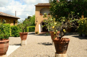 Le case del conventino di Marciano